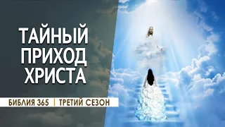 #40 Тайный приход Христа - Алексей Осокин - Библия 365 (3 сезон)
