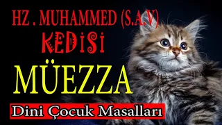 HZ.MUHAMMED(S.A.V) KEDİSİ MÜEZZA (dini masallar,eğitici masallar,çocuk masalları,masal dinle türkçe)