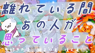 【全選択肢、神展開。】会えない間、あの人は何を思っているの？本気で聞いたらヤバすぎる結果が出てしまった……全選択肢神展開の恋愛リーディング🌸🌰