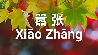 Xiao Zhang  嚣张 – en   Cover by : 曾一軍 | 一軍【动态歌词 Pinyin Lyrics】