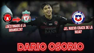 ¡TODOS QUIEREN A DARÍO OSORIO! | ¡PRESENTE y FUTURO del FÚTBOL CHILENO!