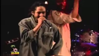 Damian Marley - War / No More Trouble (Live)