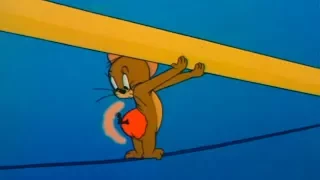 Tom and Jerry, 54 Episode - Cue Ball Cat (1950)