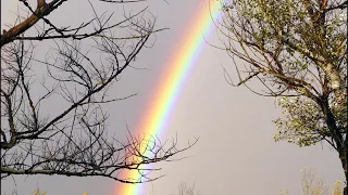 Message for the Bride of Christ - The Rainbow Connection