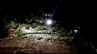 Maltempo a Spoleto: abbattuto albero sulla strada per Monteluco