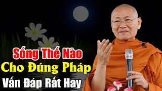 Sống Thế Nào Cho ĐÚNG PHÁP, Nghe Thầy Vấn Đáp Rất Hay | Ht Viên Minh Giảng