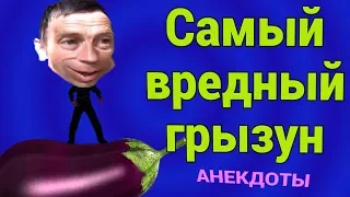 Самый вредный грызун или анекдоты за 14 мая 2019 от ДЕД21