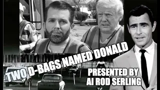 2 D-Bags Named Donald (An AI Assisted PARODY)