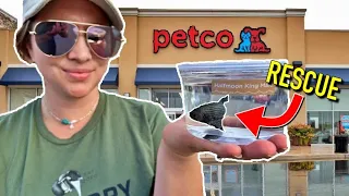 Rescuing a Betta Fish from Horrible Conditions (Fish Rescue)