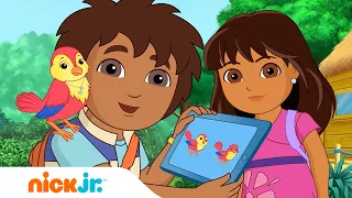 Dora & Friends | Przyjaciółka Dory przemienia się w ptaka! 🦜 | Nick Jr. Polska