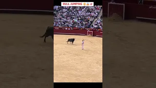 Spanish Bull Jumper 🔥🔥💯😲 #shorts #toros