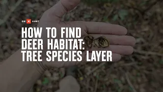 How To Find Deer Habitat- Tree Species Layer