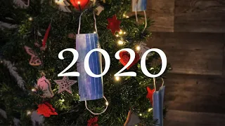 dani a kovacs - 2020 (Official Music&Memes Video)