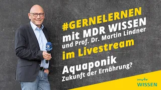 Aquaponik | #gernelernen mit MDR WISSEN | gernelernen mit MDR Wissen | MDR