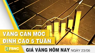 Vàng cán mốc đỉnh cao 5 tuần | Giá vàng mới nhất hôm nay 23/6/2020 | FBNC