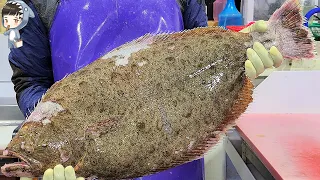 KOREAN STREET FOOD GIANT LIVE HALIBUT SASHIMI SONGDO SEAFOOD MARKET POHANG KOREA