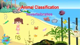 Invertebrate Animals | Educational Video| Classification of Invertebrates