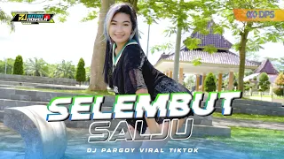 DJ SELEMBUT SALJU - DJ INTAN NOVELA LAGU VIRAL TIKTOK TERBARU 2023 (Hanya Aku Yang Mencintaimu)