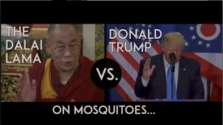 Trump‬ versus the ‪‎Dalai Lama‬: Mosquitoes - Who is more compassionate towards a mosquito?