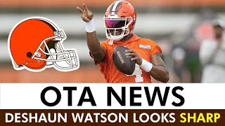 Browns OTA News: Deshaun Watson Highlights + THIS Wide Receiver Is Impressing!