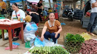 Harvesting luffa to sell at the market and taking care of the vegetable garden