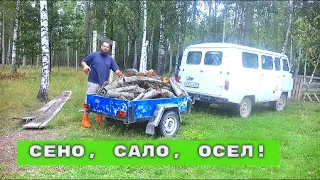 ПРОБУЮ САЛО ИЗ МАНГАЛИЦЫ, ОСЕЛ СТЕПА И ДРУГИЕ ПРИКЛЮЧЕНИЯ!