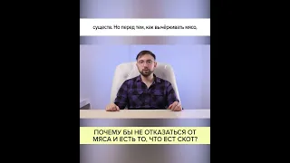 Почему бы не отказаться от МЯСА и есть то, что ест СКОТ? Полный ролик в комментариях! #shorts