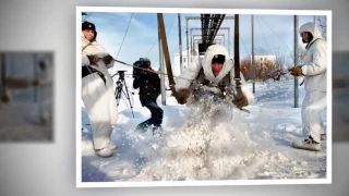 С ДНЁМ МОРСКОЙ ПЕХОТЫ! Морпехи Северного флота  Белые медведи пос  Спутник