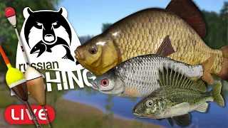 FLOATS & FEEDERS! Mosquito Lake Fishing (LIVE) l Russian Fishing 4