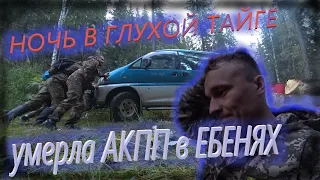 ПЕРЕЖИТЬ НОЧЬ В СИБИРСКОЙ ТАЙГЕ. СЛОМАЛАСЬ Delica