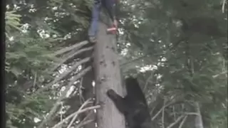 Pepper Spraying a Bear