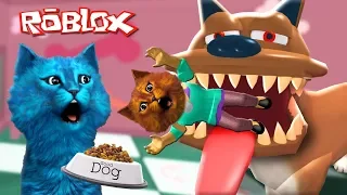 БЕШЕННАЯ СОБАКА ЛОВИТ НАС в РОБЛОКС / Escape the Pet Store Obby ROBLOX