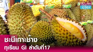 ทุเรียนชะนีเกาะช้าง ขึ้นแท่นสินค้า GI  | เรื่องดีดีทั่วไทย | 6-5-67