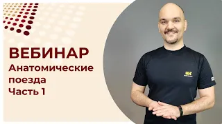 Анатомические поезда. Часть 1