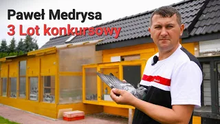 Paweł Medrysa - PZHGP 0388 Alwernia-Spytkowice / 3 Lot konkursowy gołębi młodych 242 km 🥂🏆