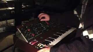 Minimoog Model Dino