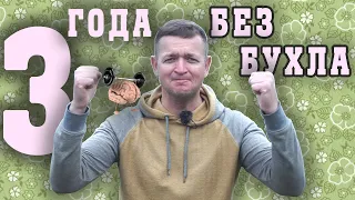 Не пью алкоголь 3 года. Всё на своих местах.