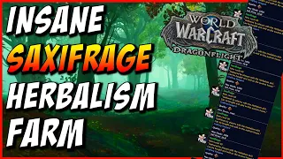 SAXIFRAGE Herbalism Farming Route | Best WoW Gathering Farm