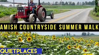 Amish Countryside Summer Walk! Lancaster County Pennsylvania!