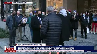 Off The Rails: Protester Shuts Down Chuck Schumer As He Demands President Trump Resign