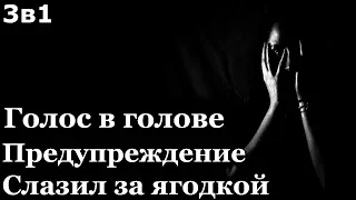 Истории на ночь (3в1): 1.Голос в голове, 2.Предупреждение, 3.Слазил за ягодкой