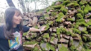 Steinmauern bzw. Steinwände für euren Garten | Verschiedene Pflanzen, Behausung für Insekten