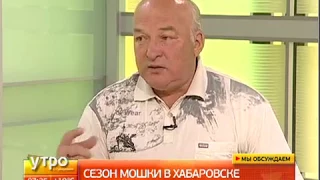 Сезон мошки в Хабаровске. Утро с Губернией. 29/06/2017. GuberniaTV