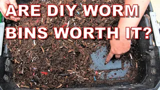 Stop wasting money: DIY worm bins demystified-Red Wigglers