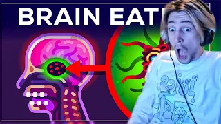 xQc Reacts To: "The Most Horrible Parasite: Brain Eating Amoeba"