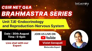 Brahmastra Series CSIR NET Unit 7JE-Endocrinology  and Reproduction-Nervous System Discussion