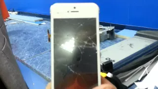 Краштест "Iphone 5s" в ДНС