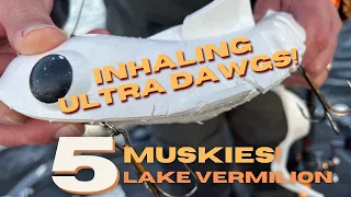 Thorne Bros | Lake Vermilion 5 Musky Day in November!