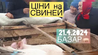 21.4.2024🔥 ЦІНИ на МАЛИХ ПОРОСЯТ, а Що ВІДБУВАЄТЬСЯ🐷