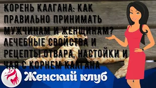 Корень калгана: как правильно принимать мужчинам и женщинам? Лечебные свойства и рецепты отвара, н.